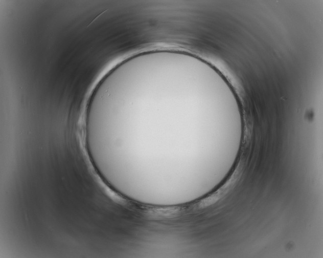 X0000103241294200808281024