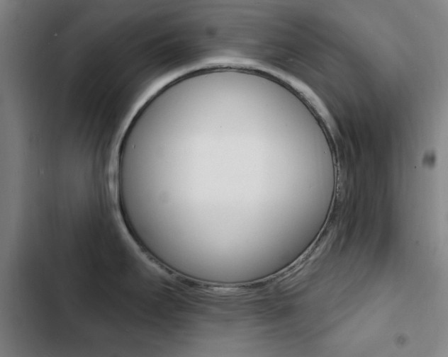 X0000103241295200808281024