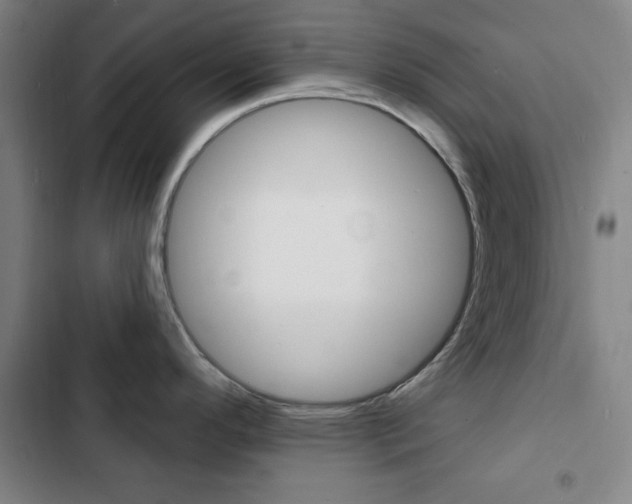 X0000103241296200808281024