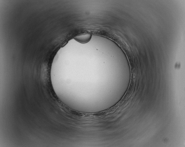 X0000103241298200808281023