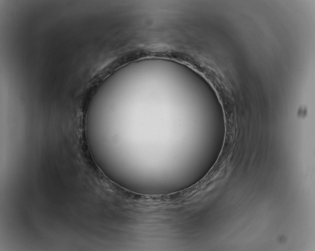 X0000103241301200808281023