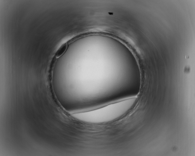 X0000103241308200808281023
