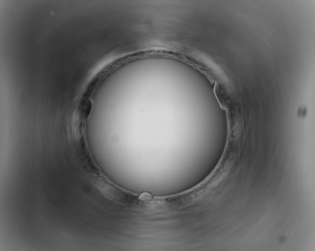 X0000103241310200808281023