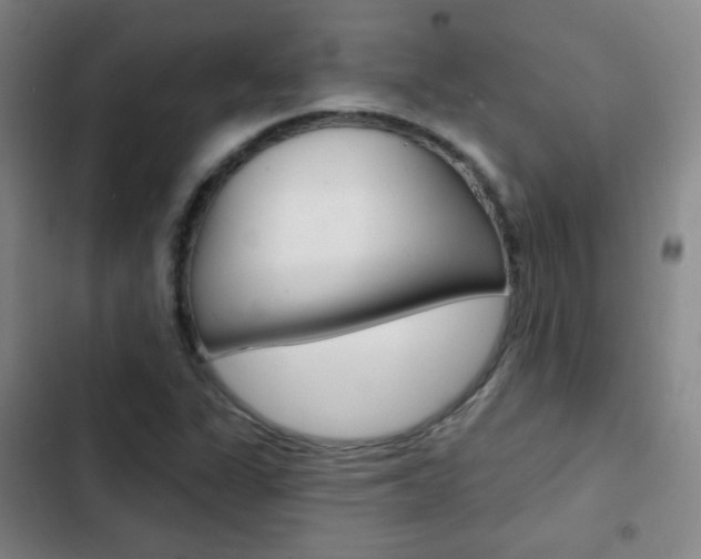 X0000103241311200808281023