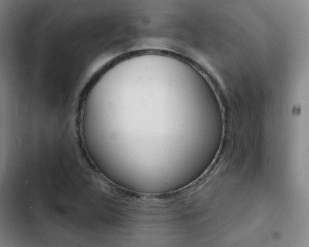 X0000103241312200808281023