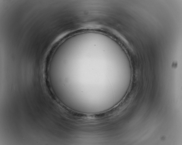 X0000103241315200808281024