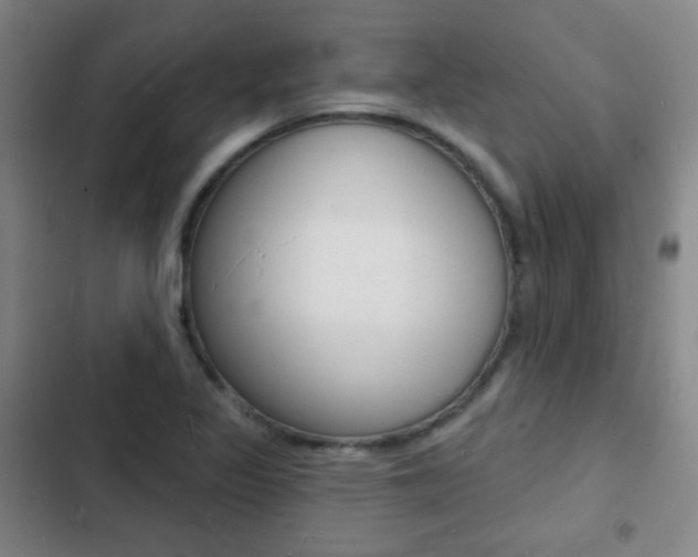 X0000103241317200808281024