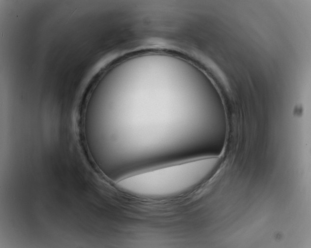 X0000103241318200808281024