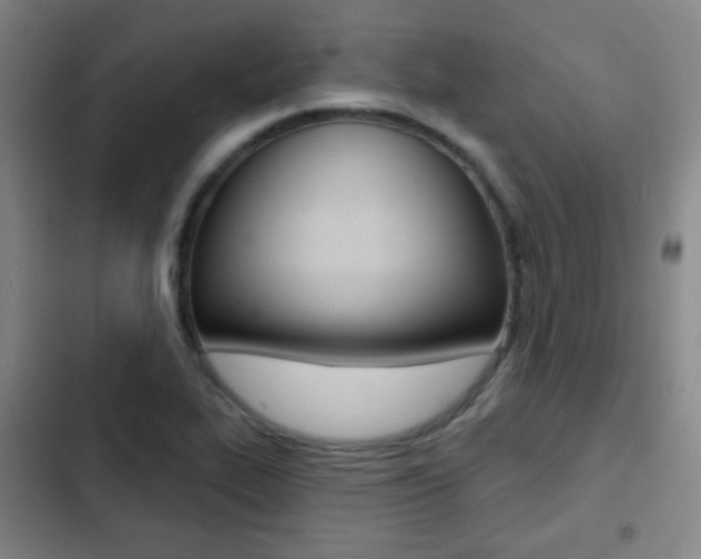 X0000103241319200808281024