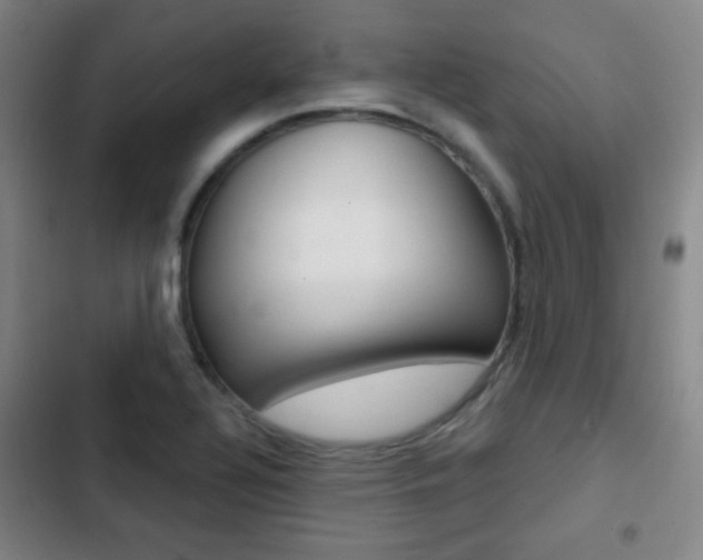 X0000103241320200808281024