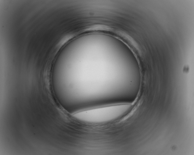 X0000103241321200808281024