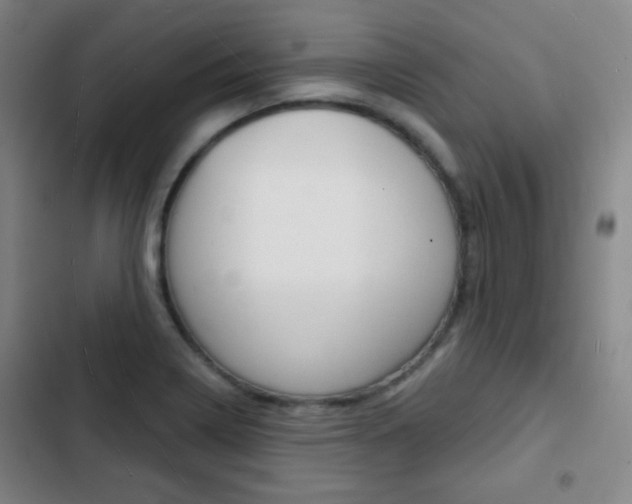 X0000103241322200808281024