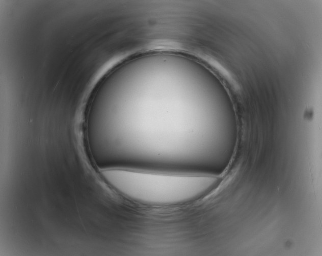 X0000103241325200808281024