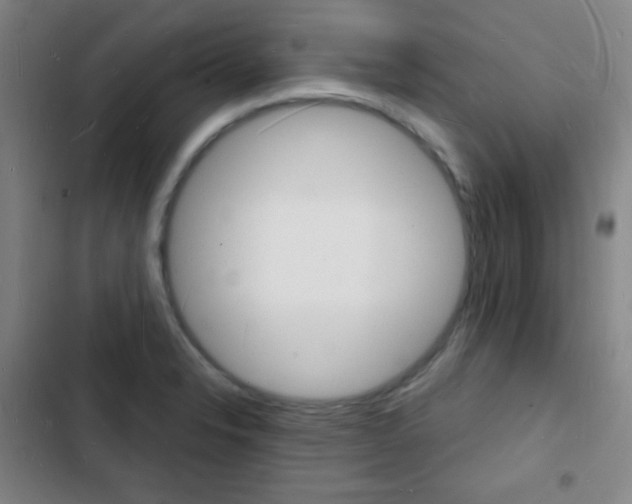 X0000103241326200808281024