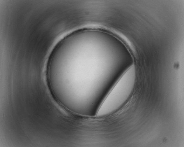 X0000103241327200808281024