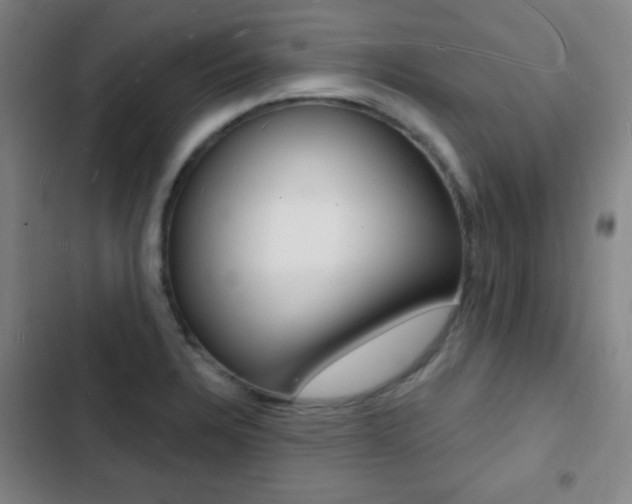 X0000103241328200808281024