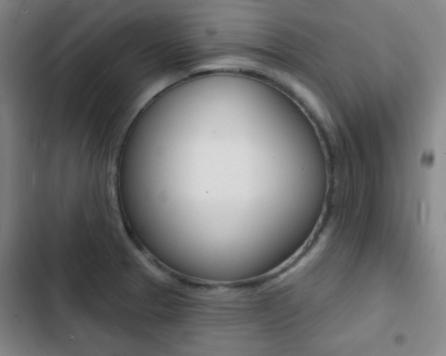 X0000103241329200808281024