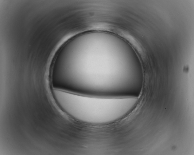 X0000103241331200808281024