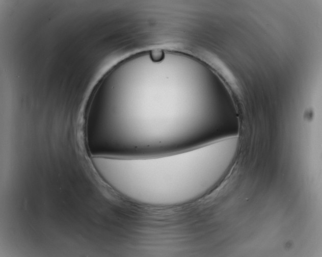 X0000103241332200808281024