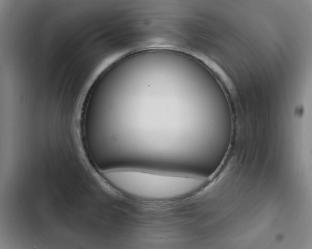 X0000103241333200808281024