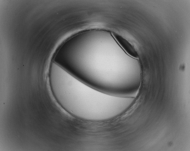 X0000103241334200808281024