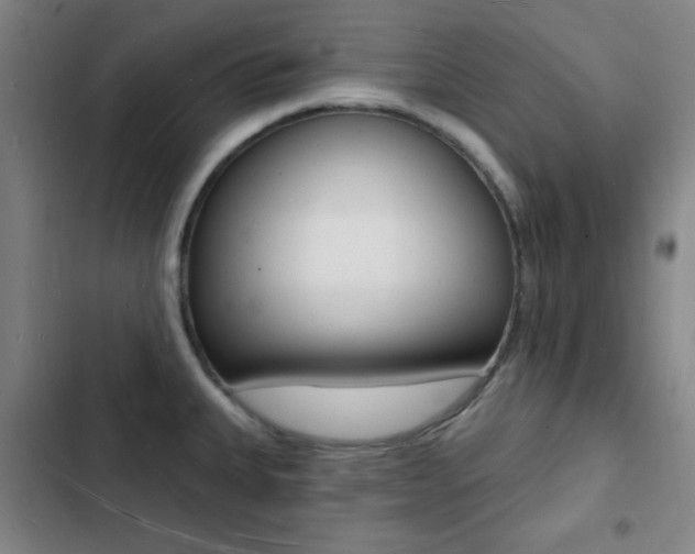 X0000103241335200808281024