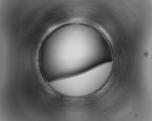 X0000103241336200808281024