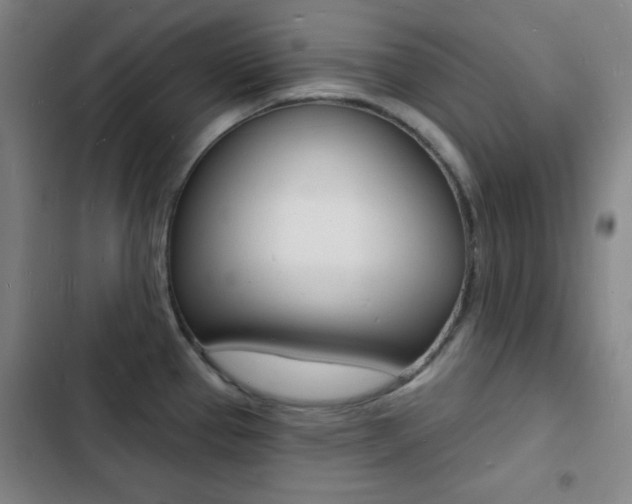 X0000103241337200808281024