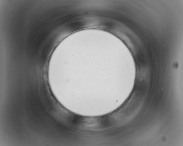 X0000103241338200808281024