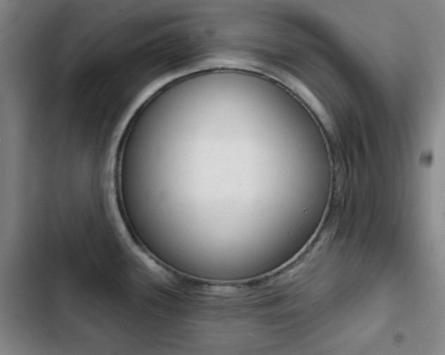 X0000103241339200808281024