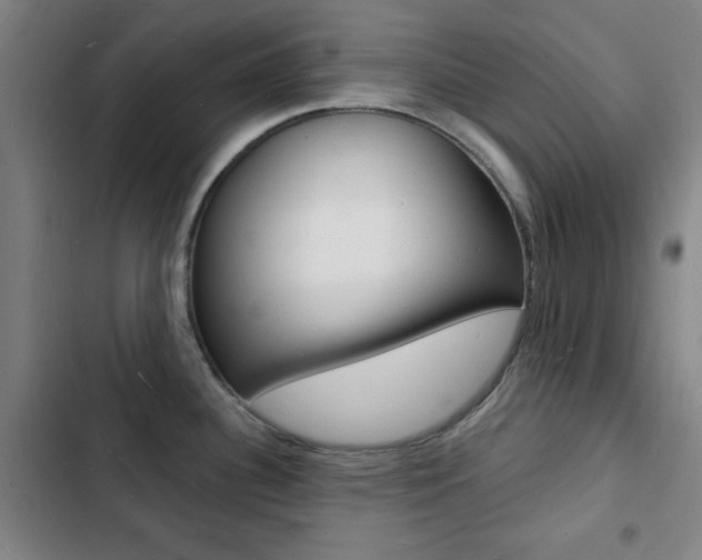 X0000103241340200808281024