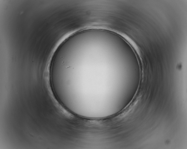 X0000103241341200808281024