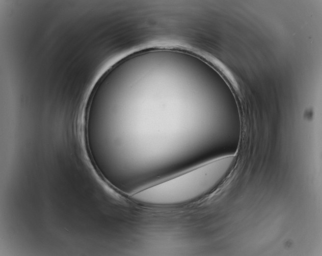 X0000103241343200808281024