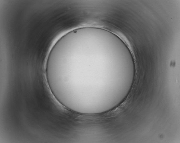 X0000103241344200808281024