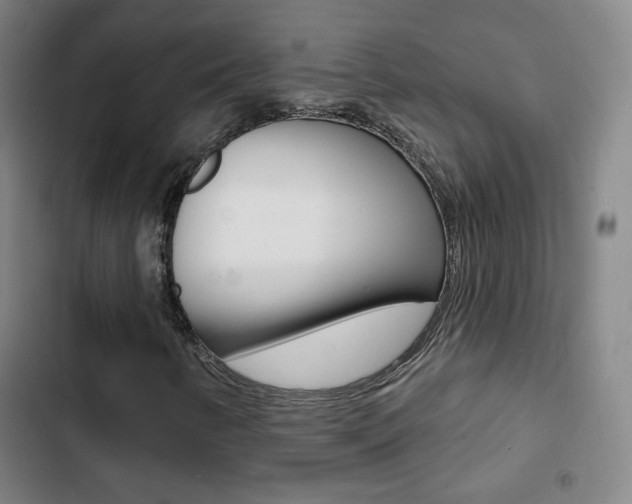 X0000103241346200808281023