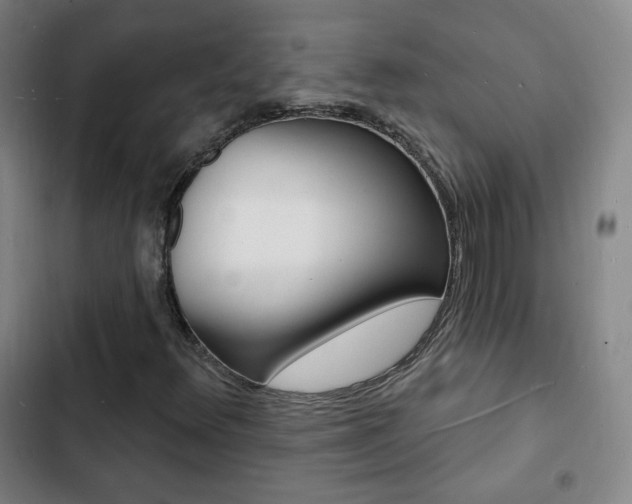 X0000103241348200808281023