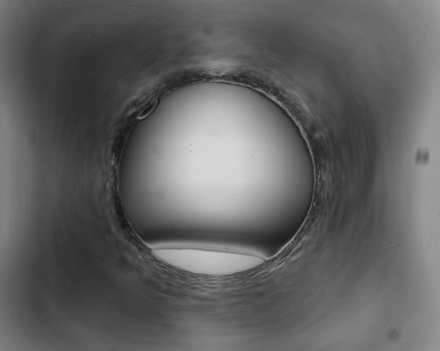 X0000103241349200808281023