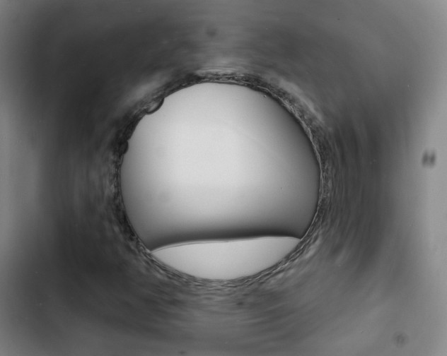 X0000103241350200808281023