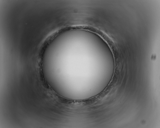 X0000103241351200808281023