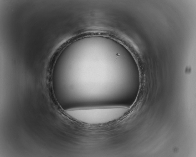 X0000103241352200808281023