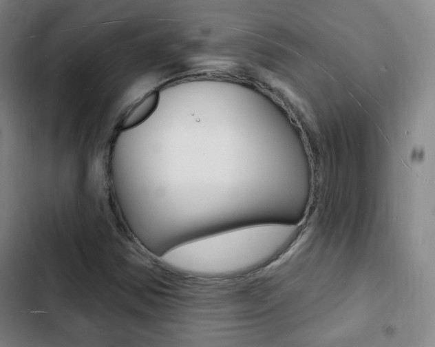 X0000103241354200808281023