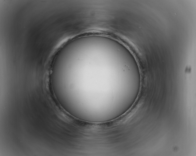 X0000103241355200808281023