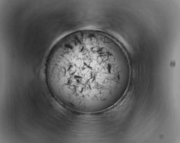 X0000103241356200808281023