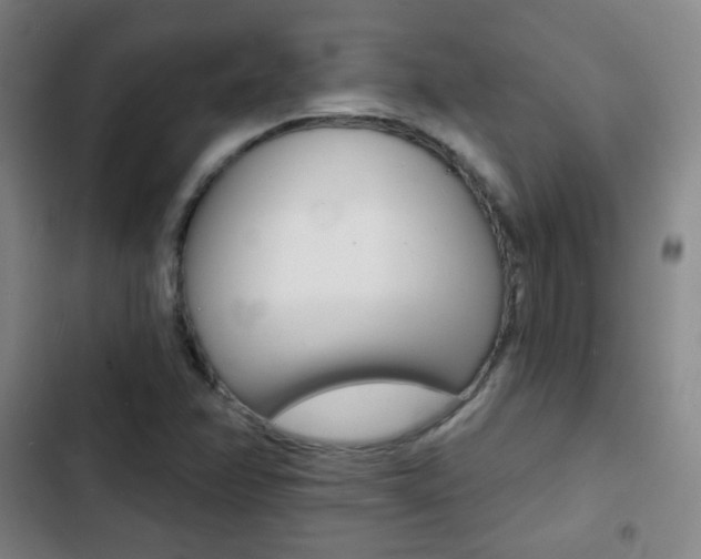 X0000103241358200808281023