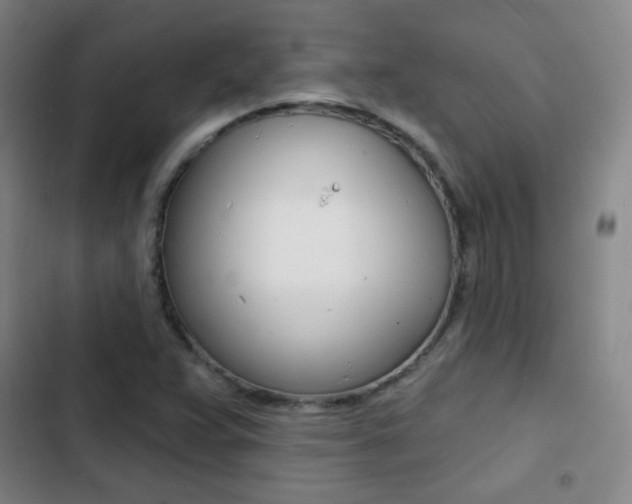 X0000103241359200808281023