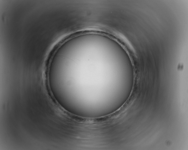 X0000103241360200808281023