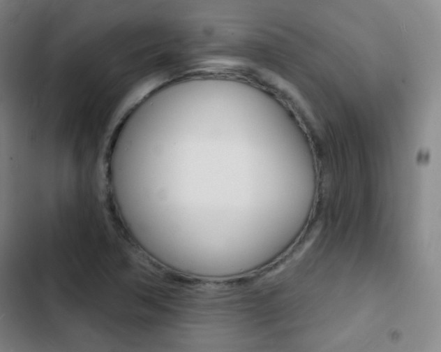 X0000103241362200808281023