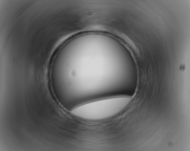 X0000103241364200808281023