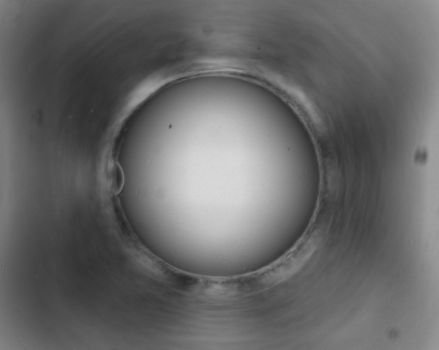 X0000103241365200808281023