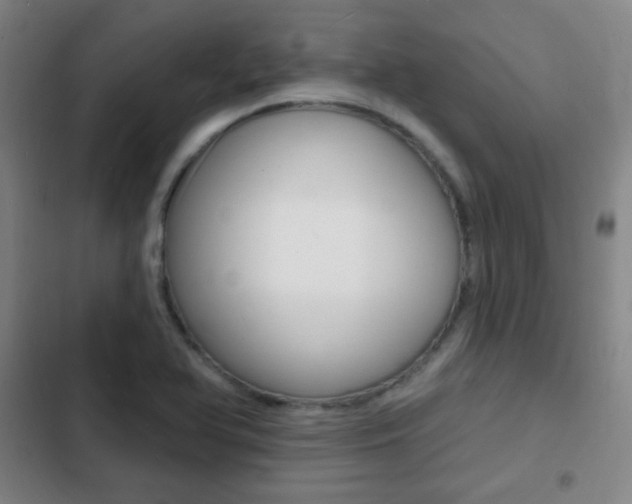 X0000103241366200808281023